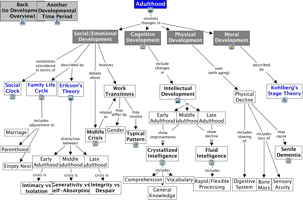 Physical Development Of Adults 58