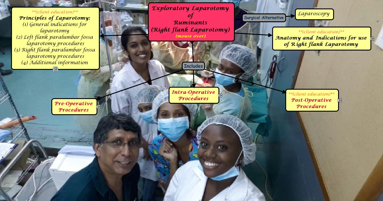Exploratory Laparotomy