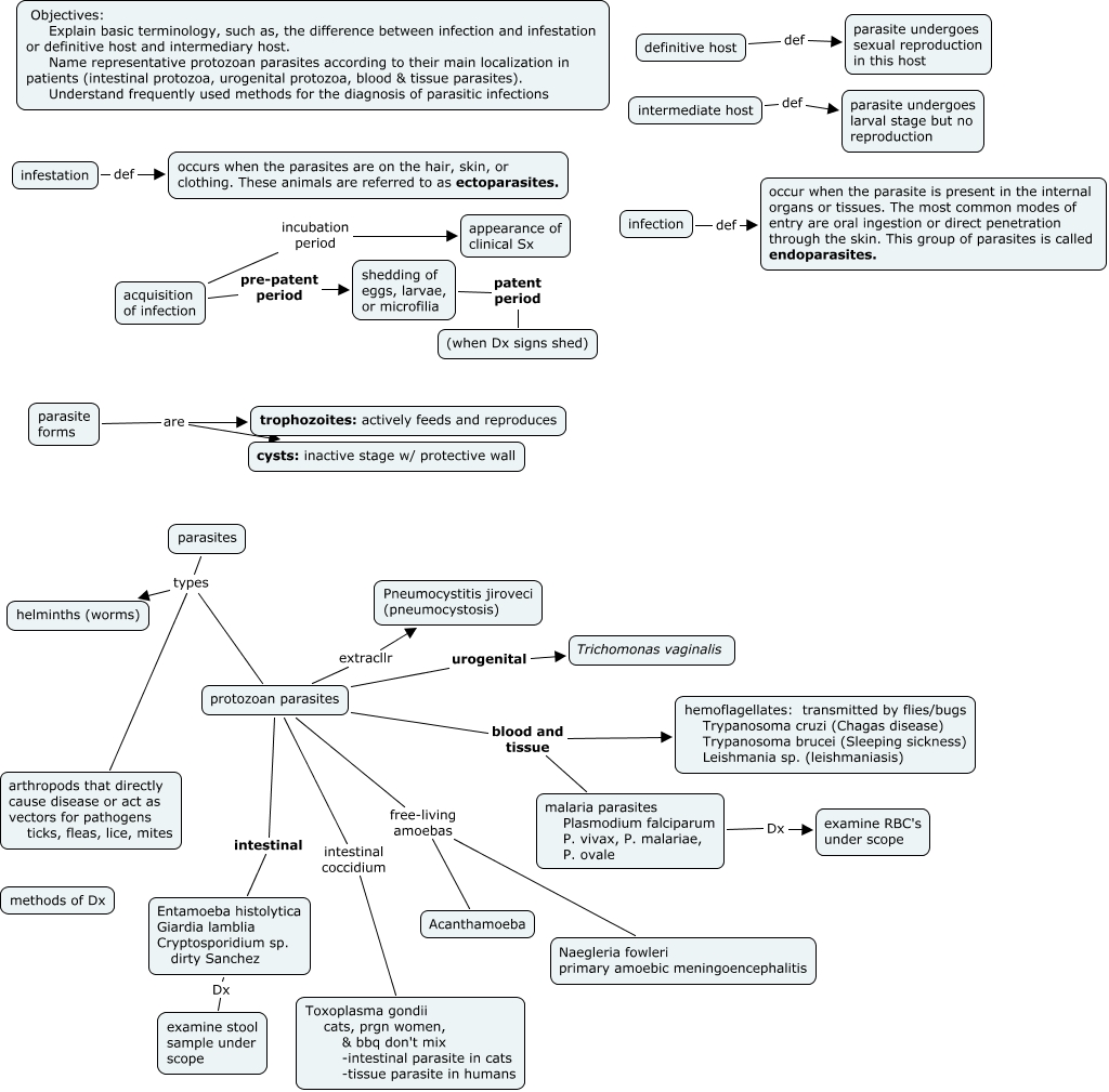 Parasitology I