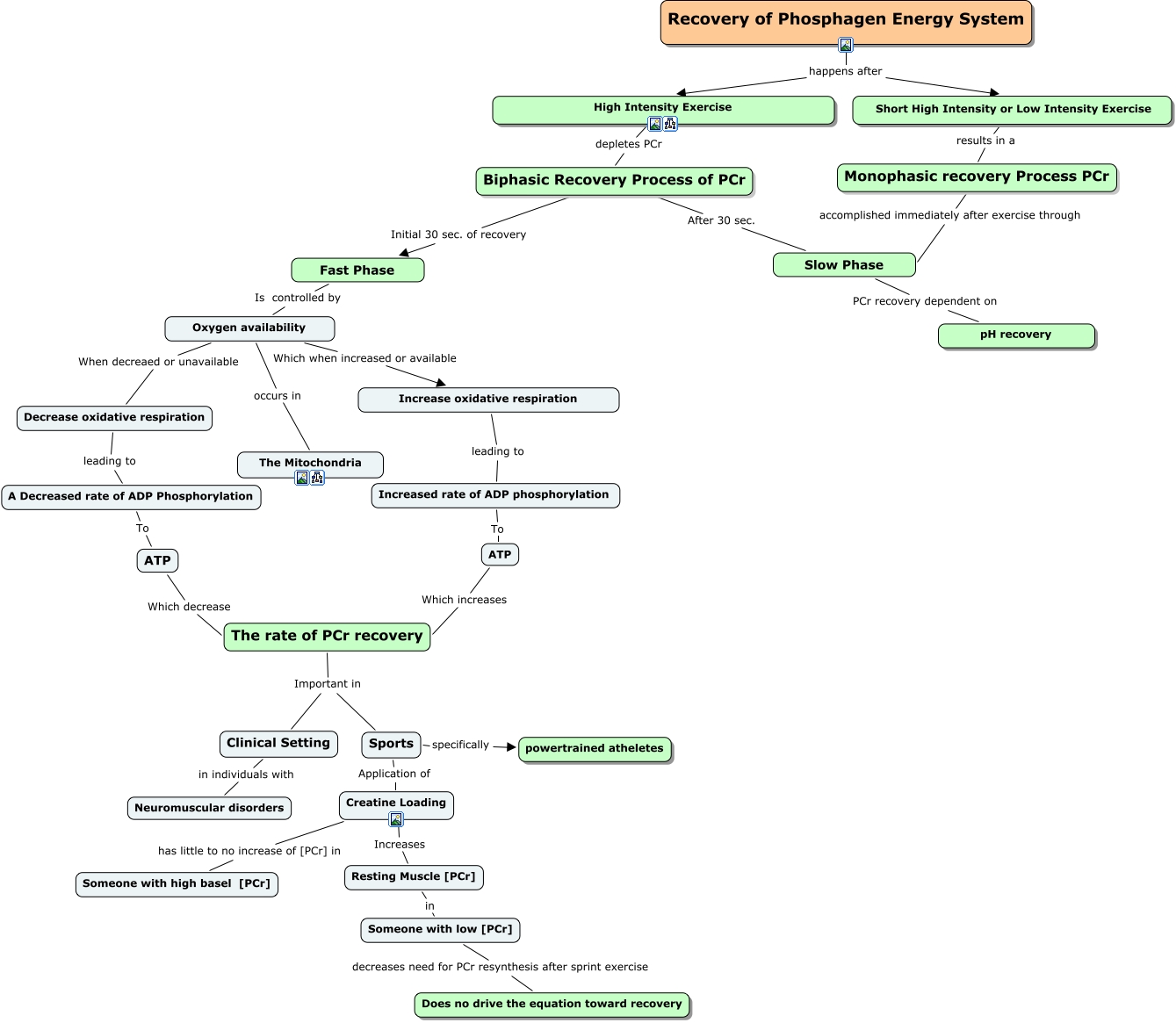 PCr recovery (Trever edit) - Recovery of phospagen energy system