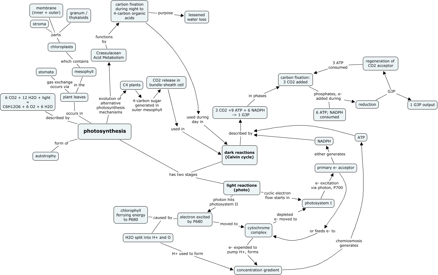 Photosynthesis Concept Map Photosynthesis
