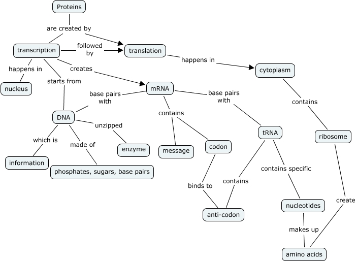 protein concept map