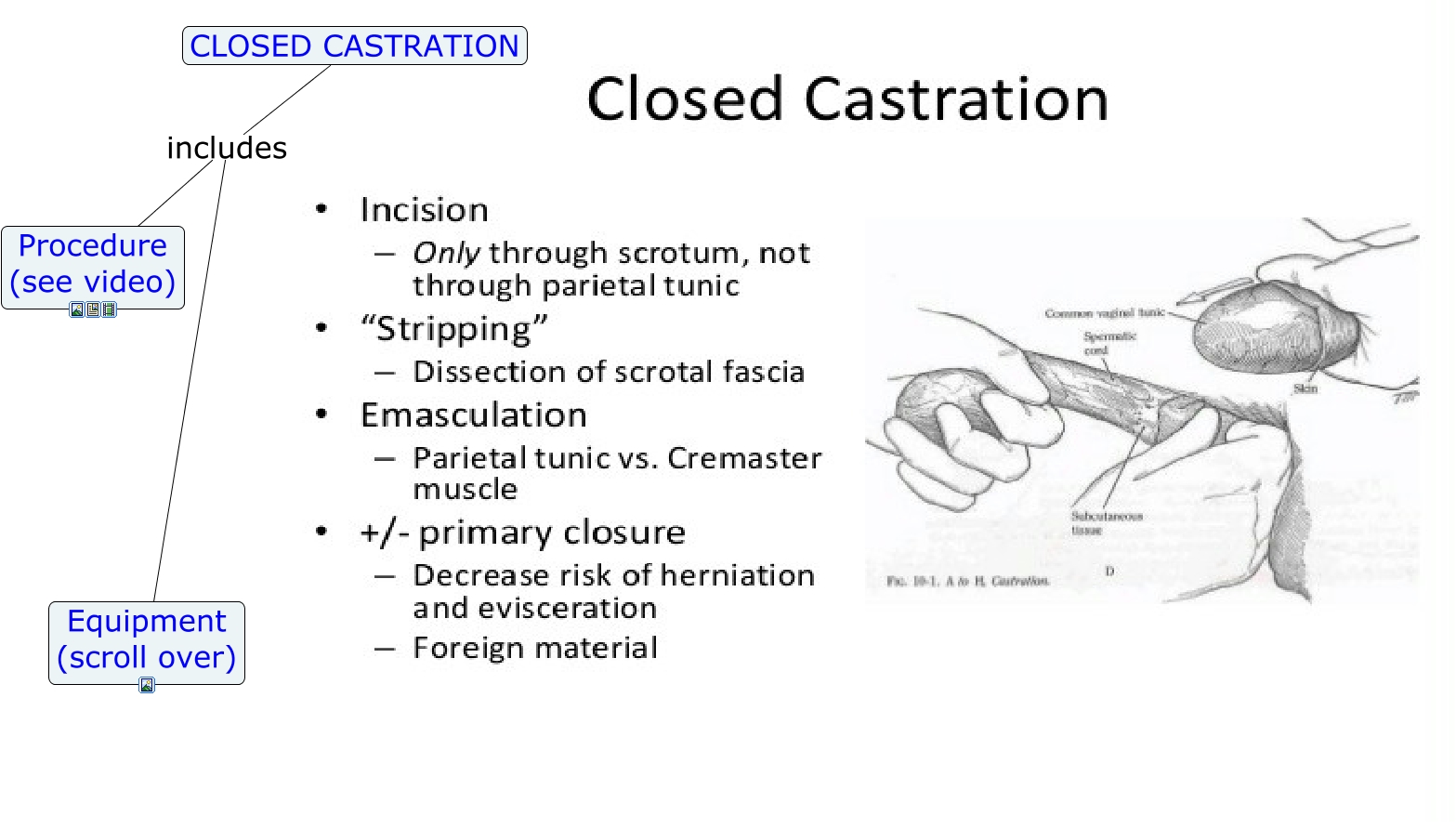 Closed Castration CAB